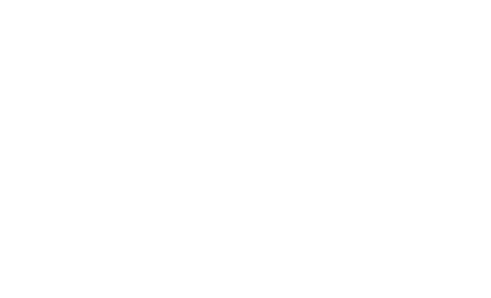 הגראז'